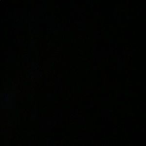 Meet your Posher, Leo